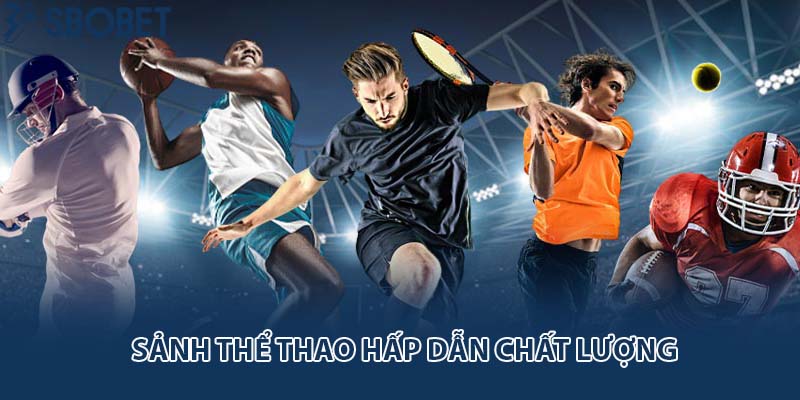 Sảnh thể thao hấp dẫn chất lượng